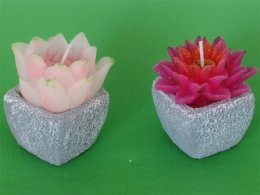 sv-lotus-v-keramickym-kvetniku-2-copy-45.jpg